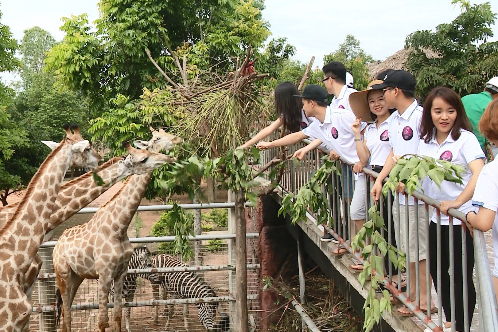 Top 12 thí sinh Giọng ca xứ Nghệ thăm vườn thú Mường Thanh Safari ...